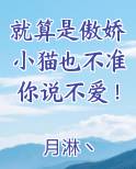 傲娇 猫咪