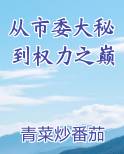 从市委大秘到权力之巅排行榜完结版