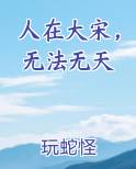人在大宋，无法无天