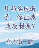 开局圣地道子，你让我走废材流？完整版小说