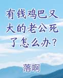 有钱鸡巴又大的老公死了怎么办？在线阅读全文