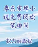 李东宋辞小说免费阅读笔趣阁全文