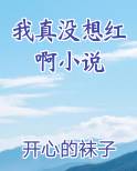 我真没想红啊小说