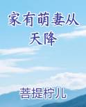 家有萌妻从天降