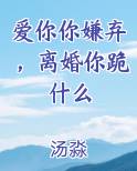 爱你你嫌弃，离婚你跪什么小说推荐