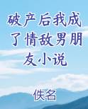 破产后我成了情敌男朋友小说