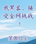 我黑客，接受全网挑战！小说免费阅读