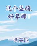 这个圣骑,好卑鄙！